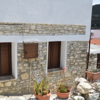 anapaleosis_spition_4